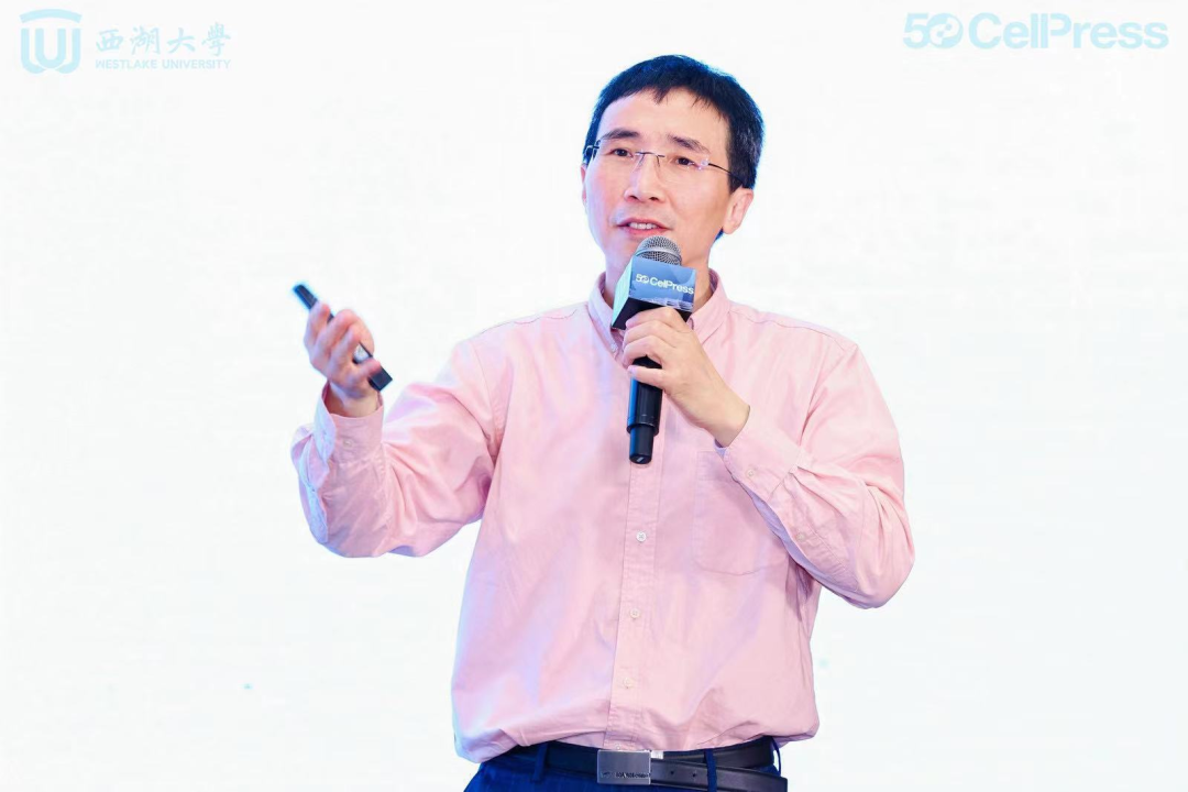 新闻详情页